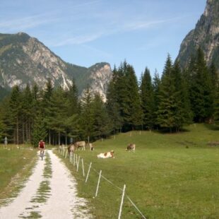 Chiusa per frana la Pista Ciclabile tra Cortina d’Ampezzo e Dobbiaco