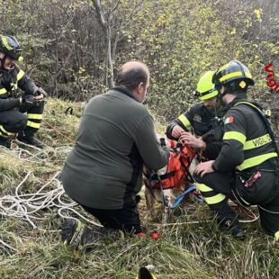 PASSO SAN BOLDO, CANE CADE IN UN BURRONE, SALVATO DAI VIGILI DEL FUOCO