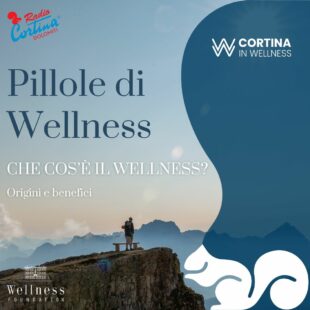 “PILLOLE DI WELLNESS”: LA NUOVA RUBRICA DI WELLNESS FOUNDATION, IN ONDA IL SECONDO E QUARTO MERCOLEDI’ DEL MESE.